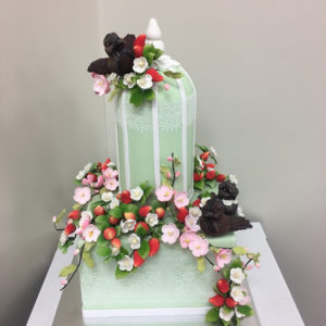 bridal shower cake
