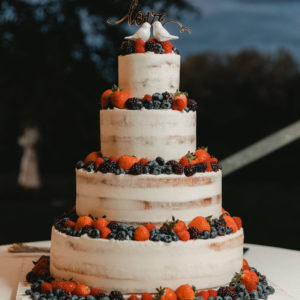 naked wedding cake