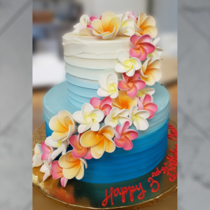 Ombre Cake