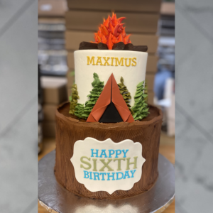 Gone Camping Cake